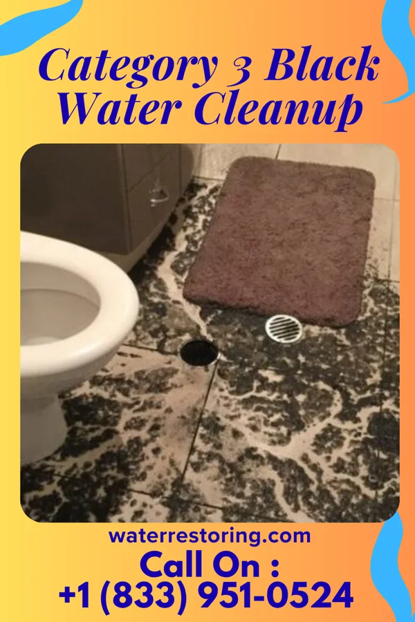 Category 3 Black Water Cleanup in Utica, MN