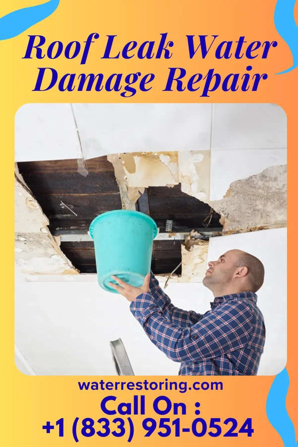 Roof Leak Water Damage Repair in Utica, MN
